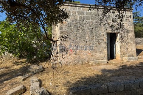 Farm hus i Ostuni, Brindisi, Ostuni - € 58.000 | Ref: 172934 - foto 8